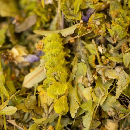 Sideritis Extract